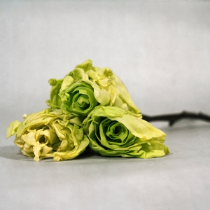 Cabbage Patched, 2012