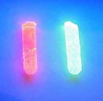 Dried gels of 2,6-pyridinedicarboxylic acid-chelated Eu3+ and Tb3+ processed to 90 °C illuminated under short-wave UV light.