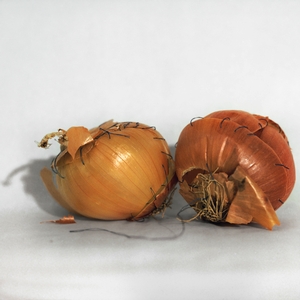 Know Your Onions, 2012