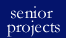 senior project info