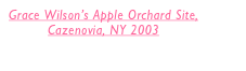 Grace Wilsonâ€™s Apple Orchard Site, 
Cazenovia, NY 2003